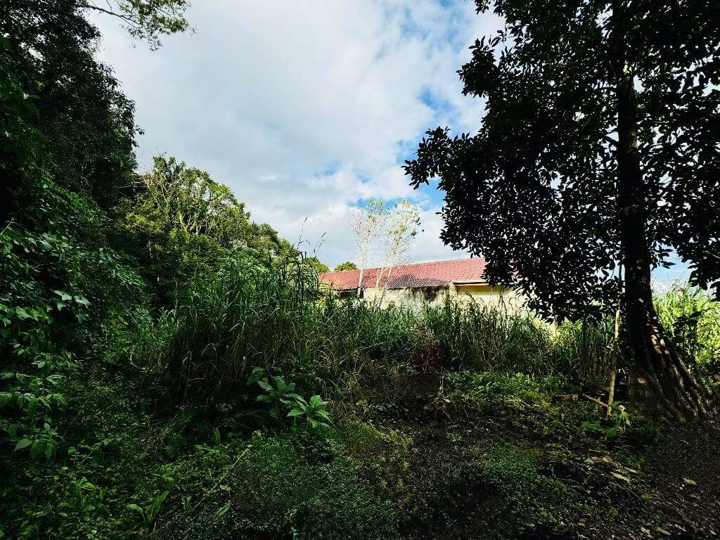 Terreno, 646 m² - Foto 5