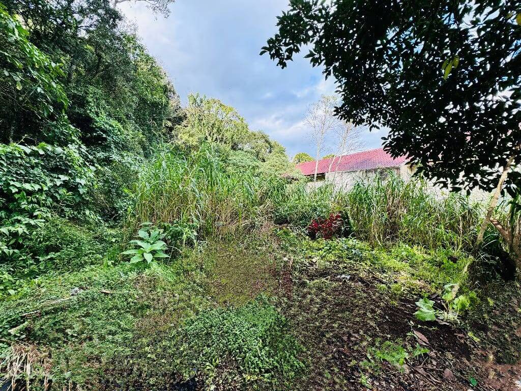 Terreno, 646 m² - Foto 7