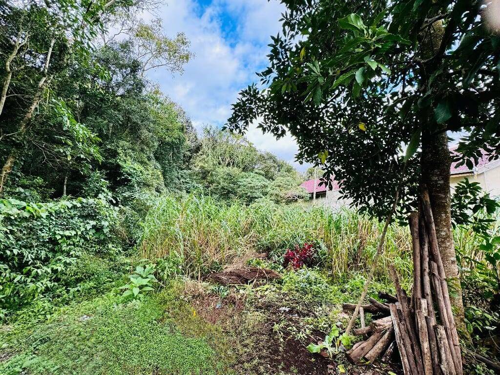 Terreno, 646 m² - Foto 8