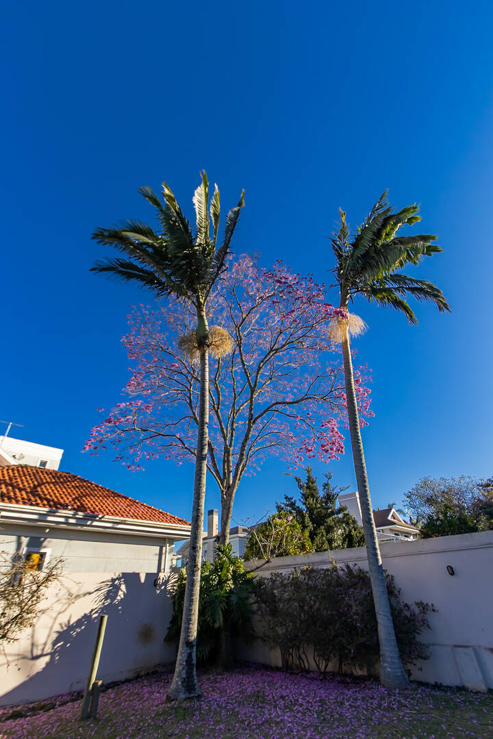 Casa à venda com 4 quartos, 278m² - Foto 29
