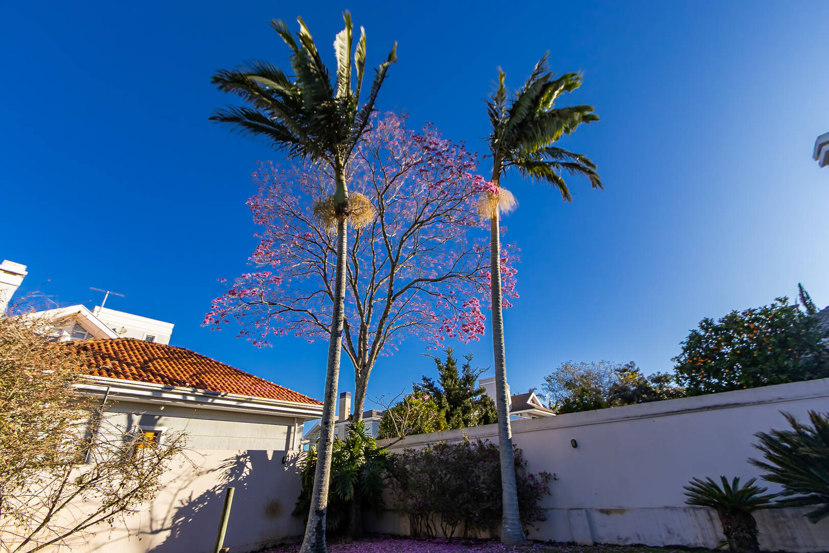 Casa à venda com 4 quartos, 278m² - Foto 30