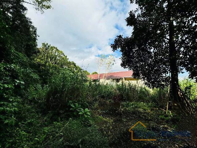 Terreno para Venda em Curitiba - 5