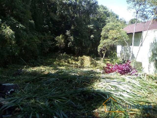 Terreno para Venda em Curitiba - 4