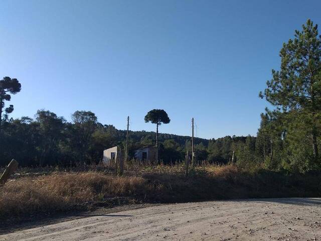 #TO-11-MO00 - Chácara para Venda em Rio Negro - PR