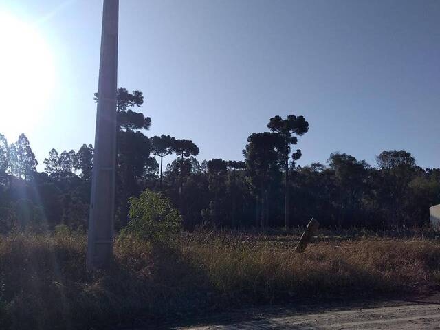 #TO-11-MO00 - Chácara para Venda em Rio Negro - PR